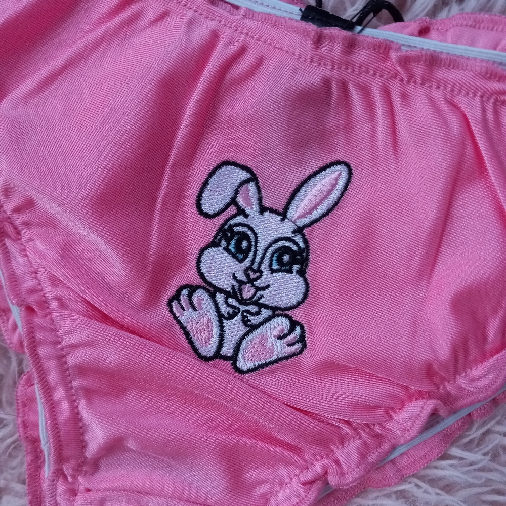 FINAL PRICE Dolls Kill Silky cheeky bunny embroidered pink ruffle edged panty! - Picture 2 of 6